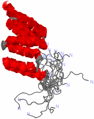 Image NMR Structure - all models