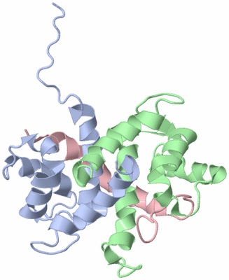 Image NMR Structure - model 1