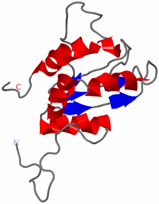 Image NMR Structure - model 1