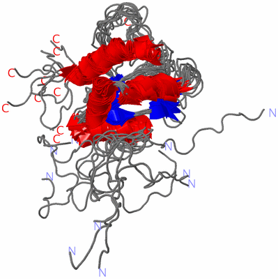 Image NMR Structure - all models