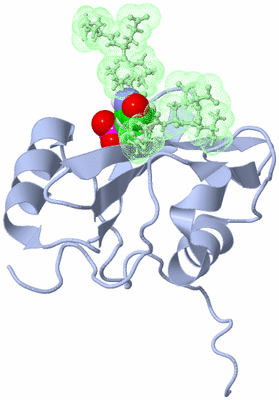 Image NMR Structure - model 1