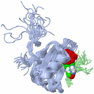 Image NMR Structure - all models