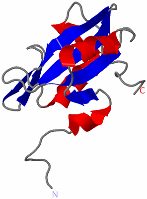 Image NMR Structure - model 1