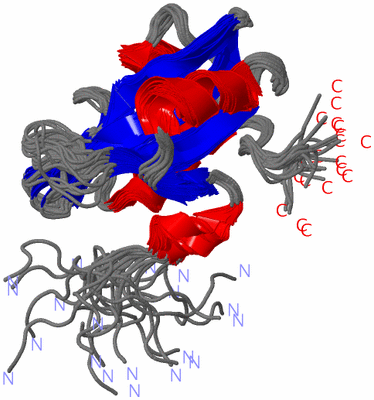 Image NMR Structure - all models