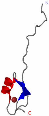 Image NMR Structure - model 1