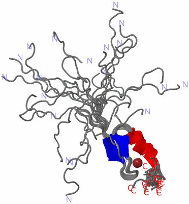 Image NMR Structure - all models