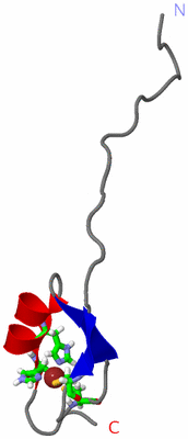 Image NMR Structure - model 1, sites