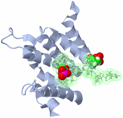 Image NMR Structure - model 1