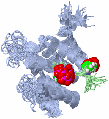 Image NMR Structure - all models