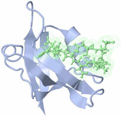 Image NMR Structure - model 1