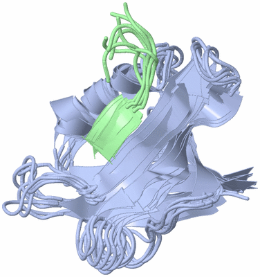 Image NMR Structure - all models