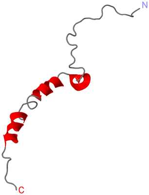 Image NMR Structure - model 1