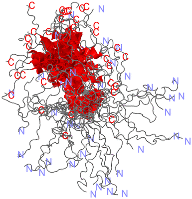 Image NMR Structure - all models