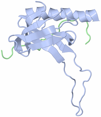 Image NMR Structure - model 1