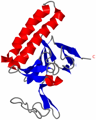 Image NMR Structure - model 1