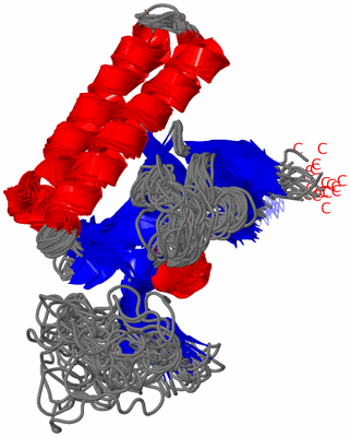 Image NMR Structure - all models