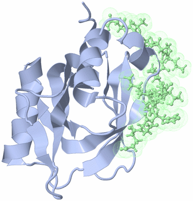 Image NMR Structure - model 1