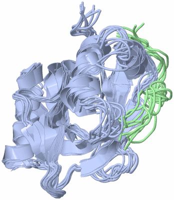 Image NMR Structure - all models