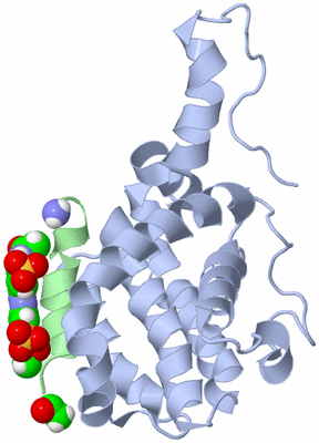 Image NMR Structure - model 1