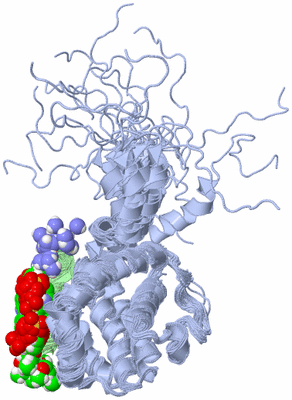 Image NMR Structure - all models