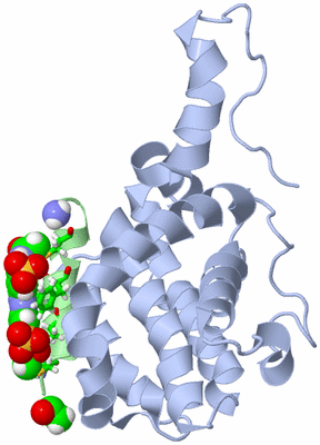 Image NMR Structure - model 1, sites