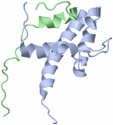 Image NMR Structure - model 1