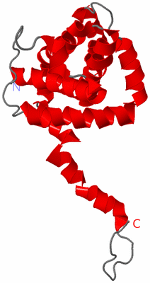 Image NMR Structure - model 1