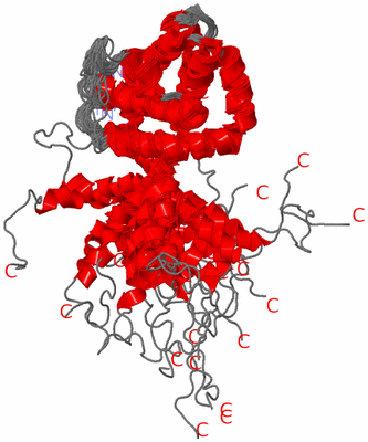 Image NMR Structure - all models