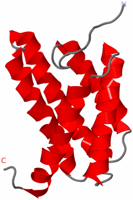 Image NMR Structure - model 1