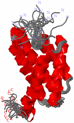 Image NMR Structure - all models