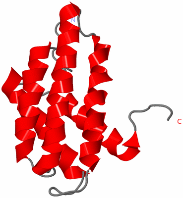 Image NMR Structure - model 1