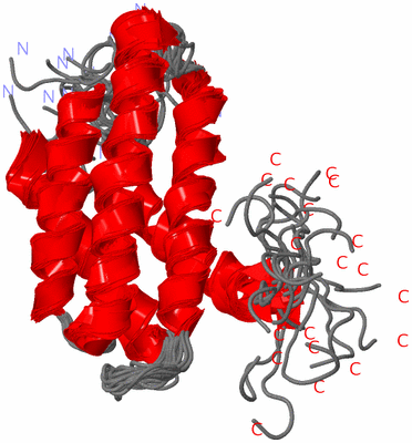 Image NMR Structure - all models