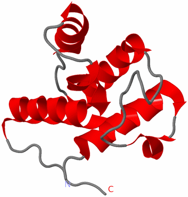 Image NMR Structure - model 1