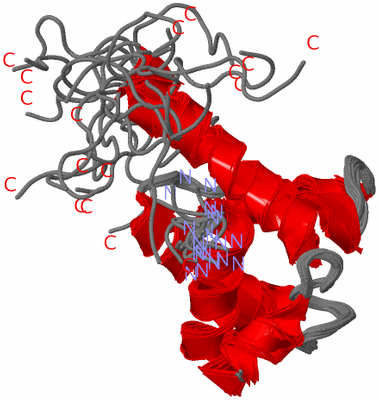 Image NMR Structure - all models