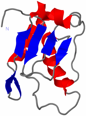 Image NMR Structure - model 1