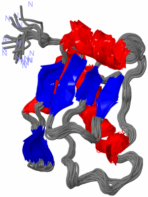 Image NMR Structure - all models