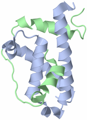 Image NMR Structure - model 1