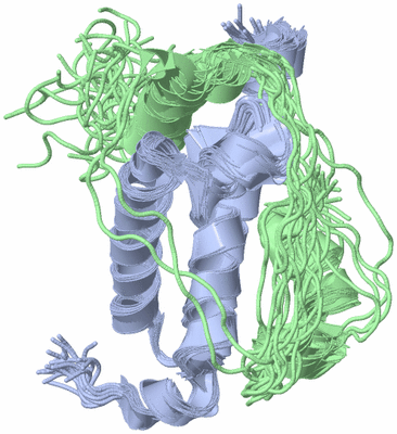 Image NMR Structure - all models