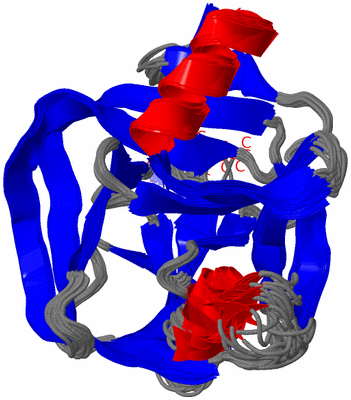 Image NMR Structure - all models