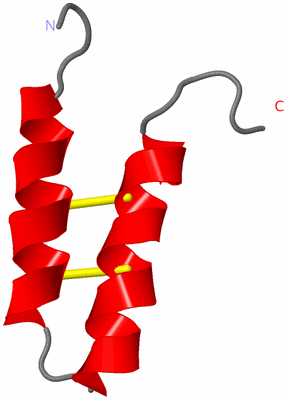 Image NMR Structure - model 1