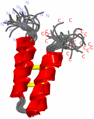 Image NMR Structure - all models