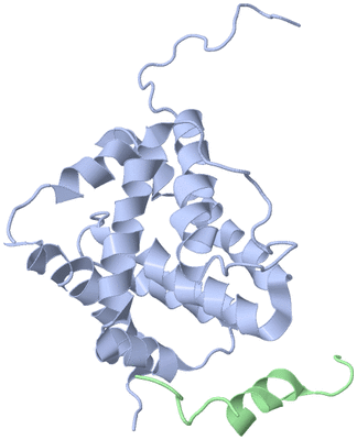 Image NMR Structure - model 1