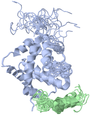 Image NMR Structure - all models