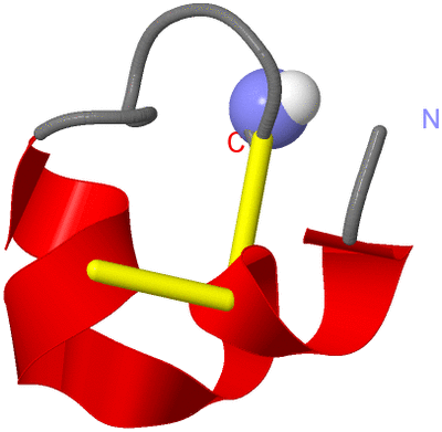 Image NMR Structure - model 1