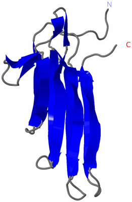 Image NMR Structure - model 1