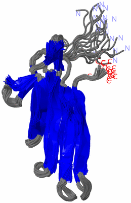 Image NMR Structure - all models