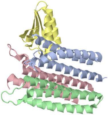 Image NMR Structure - model 1