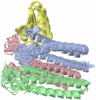 Image NMR Structure - all models