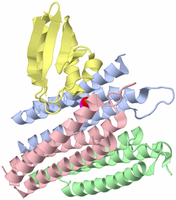 Image NMR Structure - model 1