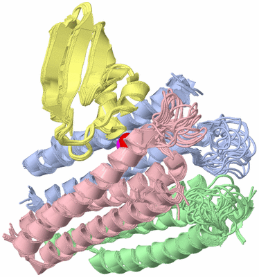 Image NMR Structure - all models